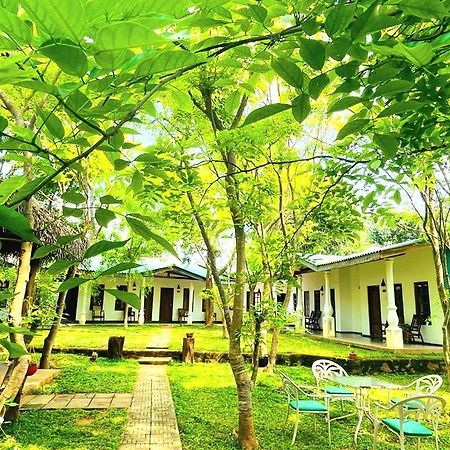 Kingfisher Resort Sigiriya Exterior foto