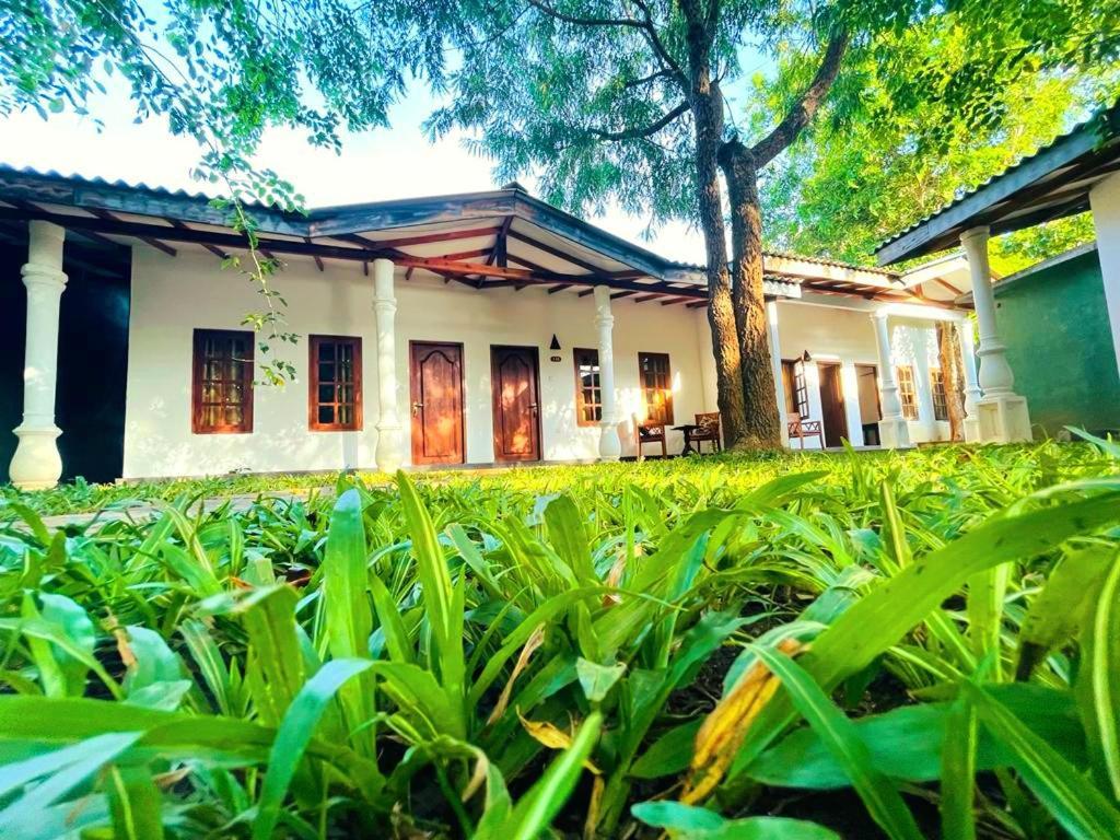 Kingfisher Resort Sigiriya Exterior foto