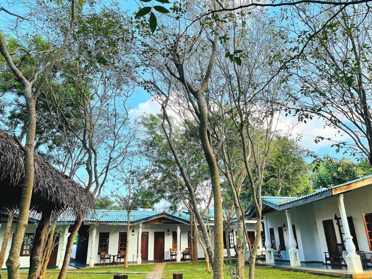 Kingfisher Resort Sigiriya Exterior foto