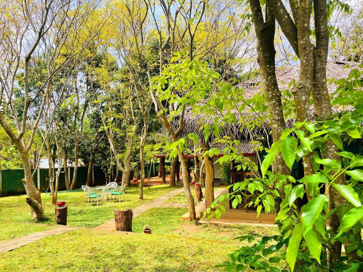 Kingfisher Resort Sigiriya Exterior foto